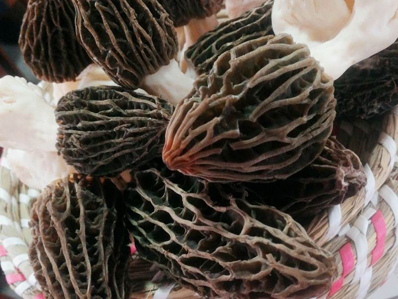 山东郓城祥泰食品有限公司