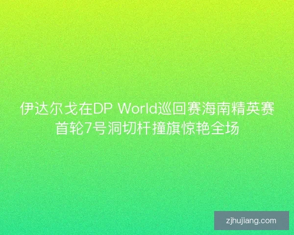 伊达尔戈在DP World巡回赛海南精英赛首轮7号洞切杆撞旗惊艳全场
